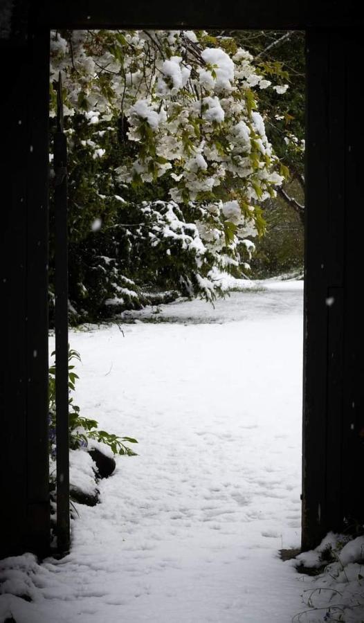 Arden Country House Bnb - Entire House To Yourself -Peace In The Country Dunedin Esterno foto