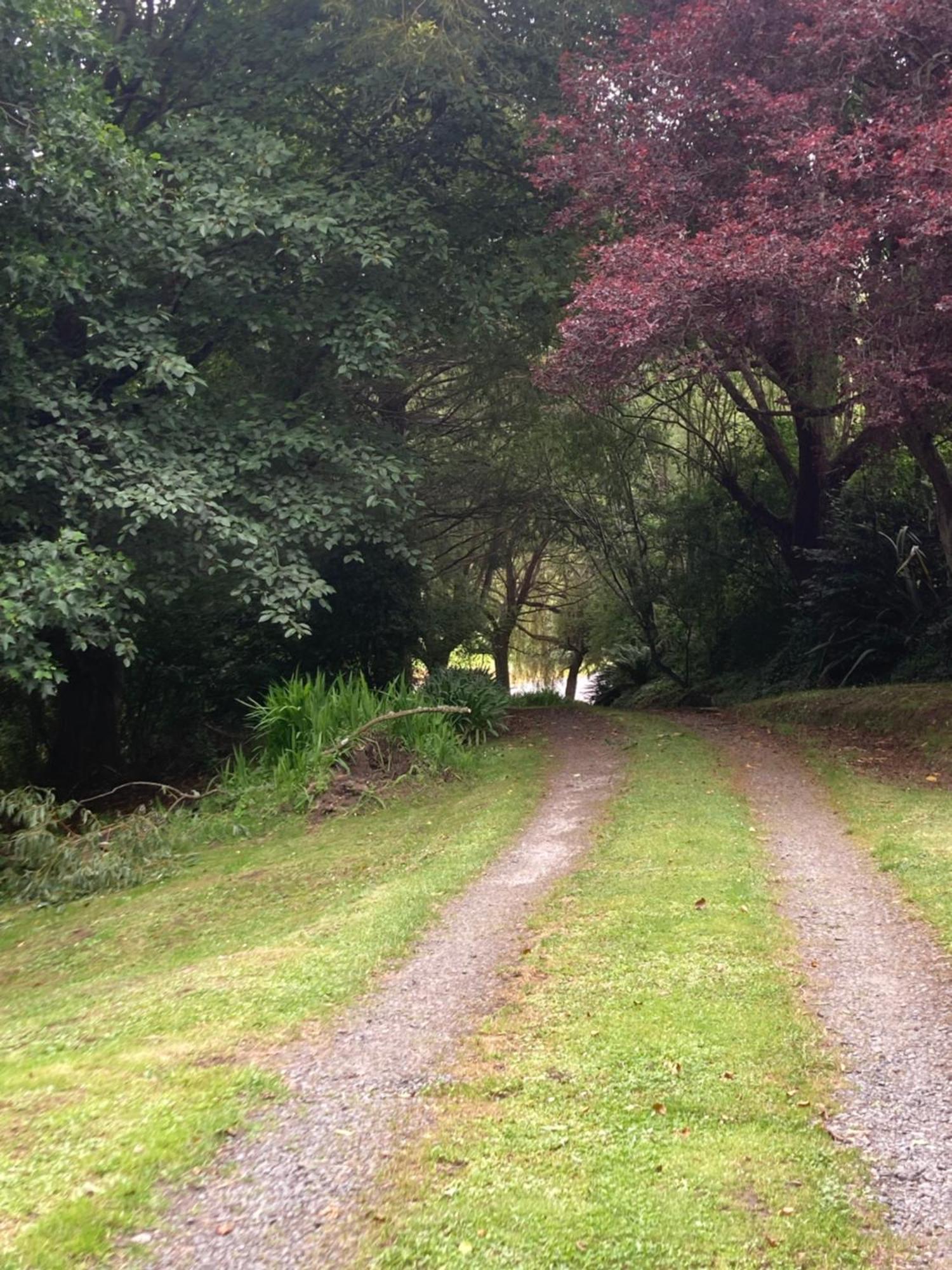 Arden Country House Bnb - Entire House To Yourself -Peace In The Country Dunedin Esterno foto